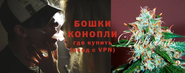 альфа пвп Гусев