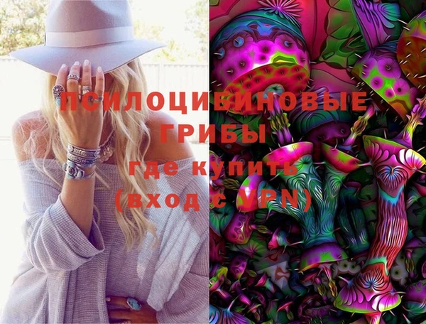 альфа пвп Гусев