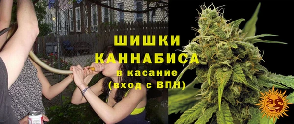 альфа пвп Гусев