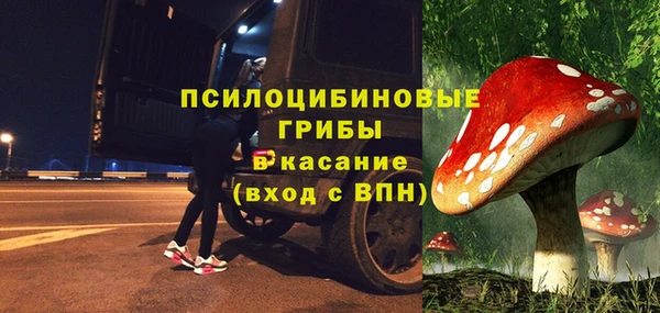 альфа пвп Гусев