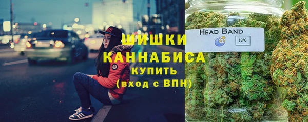 альфа пвп Гусев