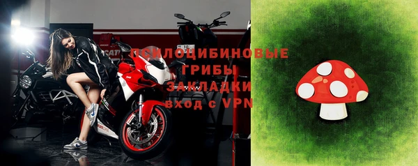 альфа пвп Гусев