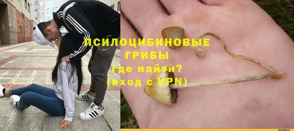 синтетический гашиш Гусь-Хрустальный