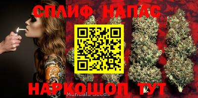 таблы Тара